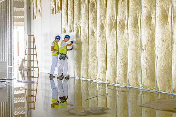 Professional Insulation Contractor in Independence, WI